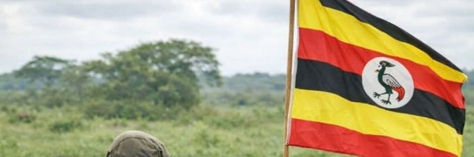 NatlForces's profile banner image