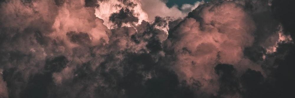 zuuzu❀ banner