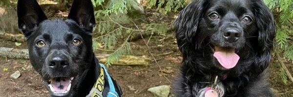 TheNeilJackson Profile Banner