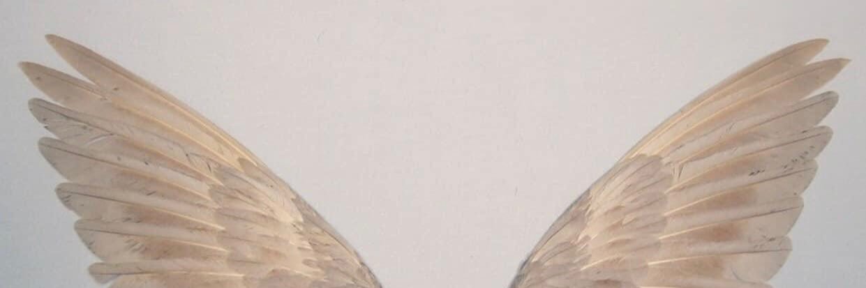 itsmecelai's profile banner image
