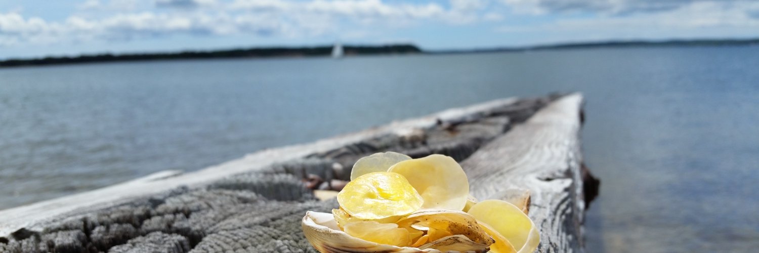 DeeSpeciale's profile banner image