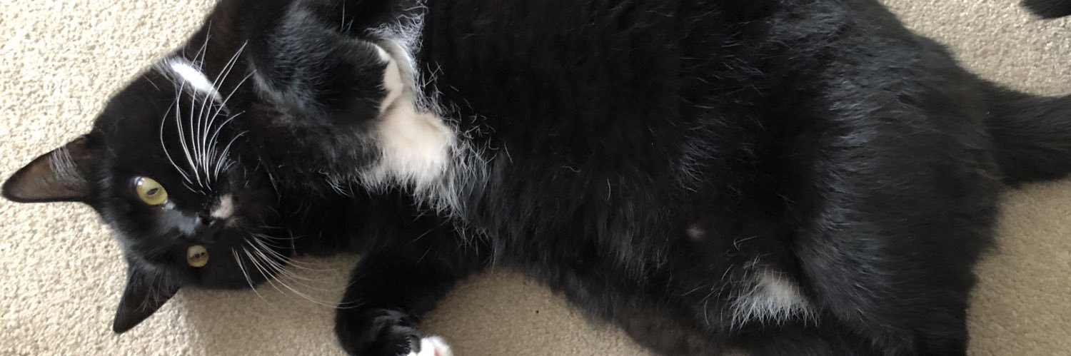 Jogathon Runman banner