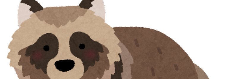 ray_zaki's profile banner image
