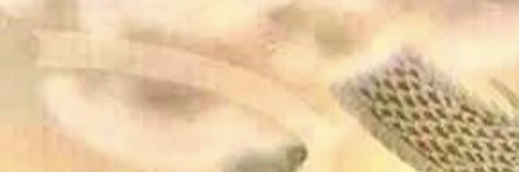 sienes_'s profile banner image