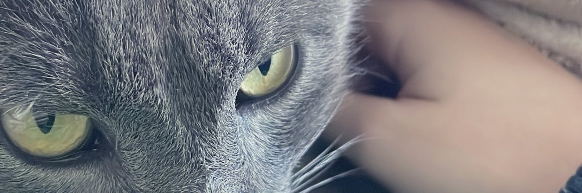 dai_floress's profile banner image