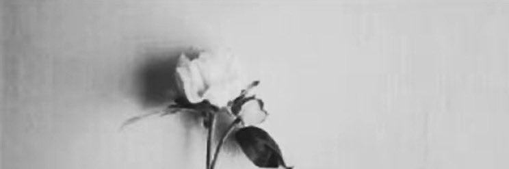 gcic's profile banner image