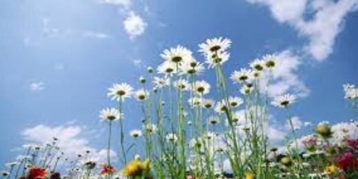 chantal_fe's profile banner image