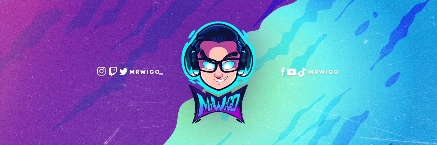 MrWiGO banner