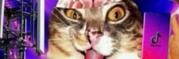 1tsmesh Profile Banner