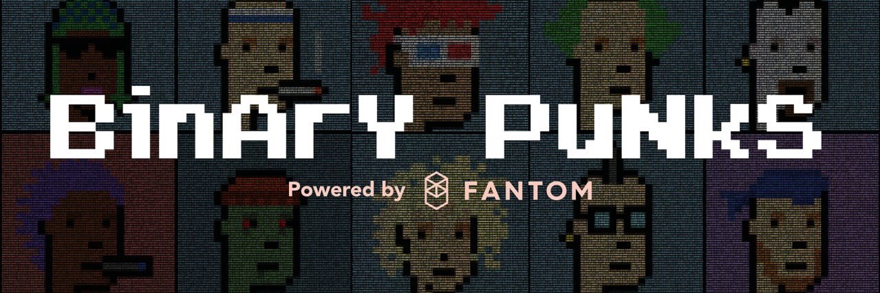 Binary Punks banner