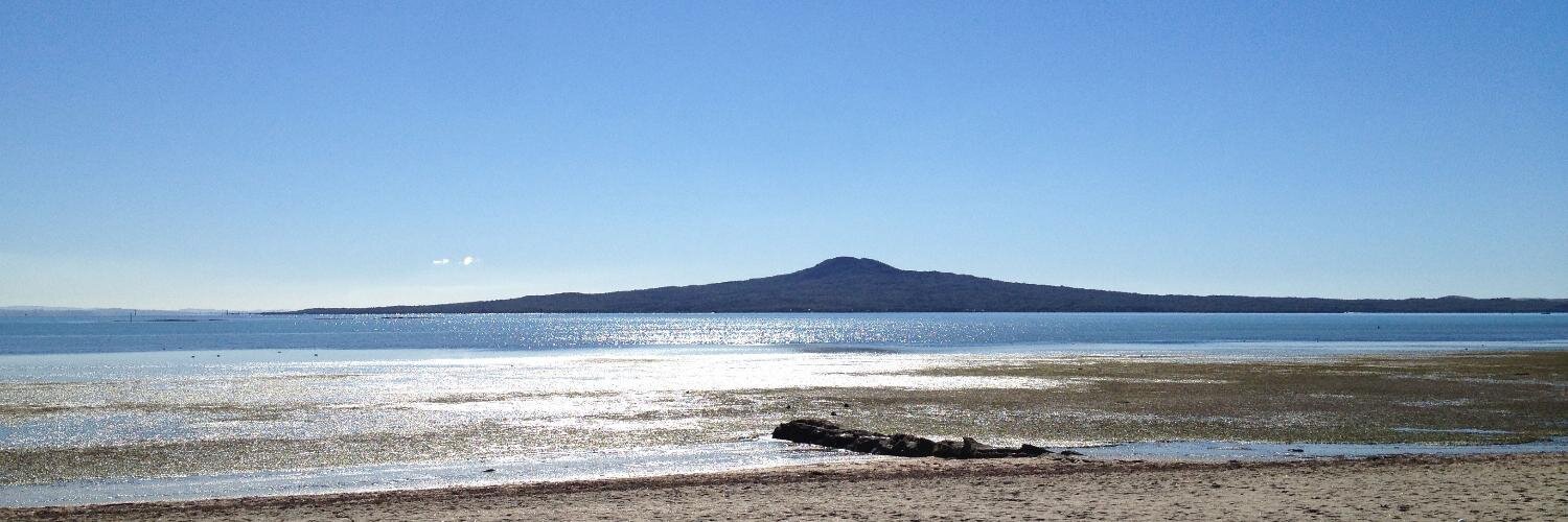 Mark Hammersley banner