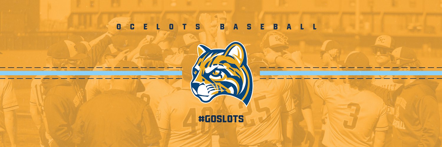 Schoolcraft College Baseball's banner