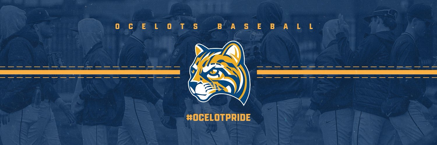 Schoolcraft College Baseball banner