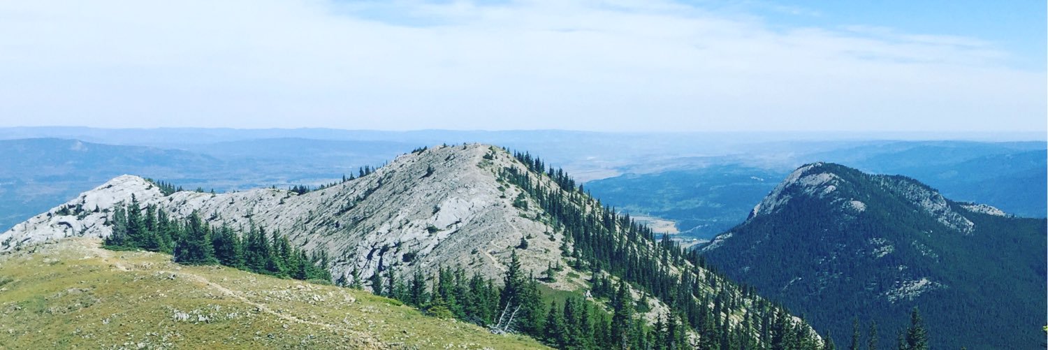 Kirstie Lithgow banner