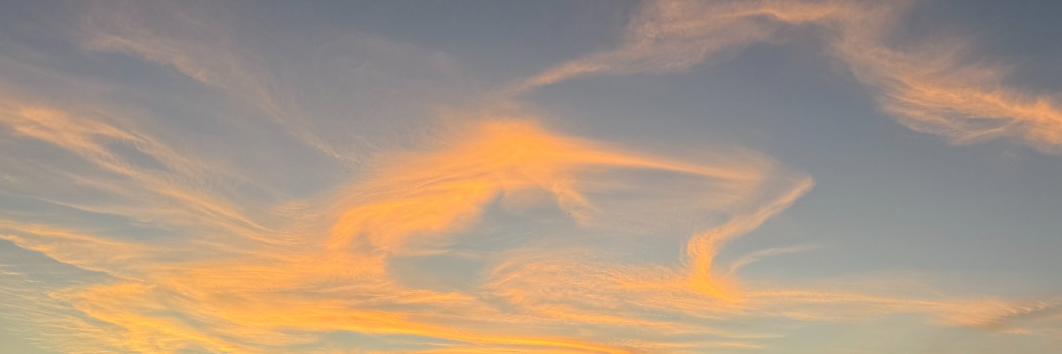 nanupz's profile banner image