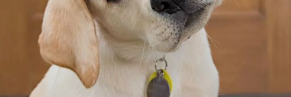 ceelleex Profile Banner