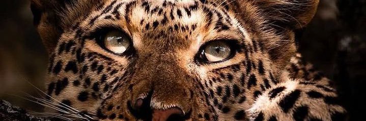 Sabrinabello74's profile banner image
