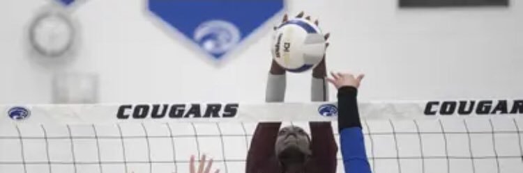 Maleda Azunque banner