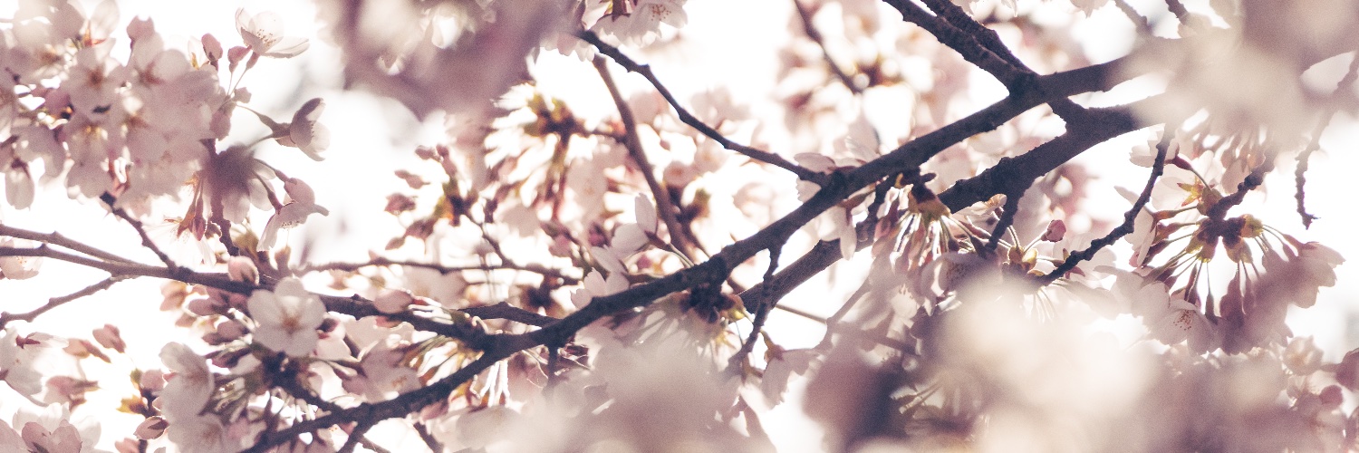 Nora Baltus banner