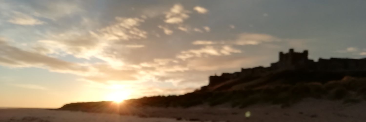JJohnnelson485's profile banner image