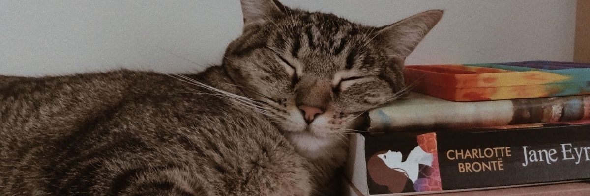 claraecansada's profile banner image