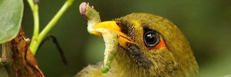 ecofascination's profile banner image