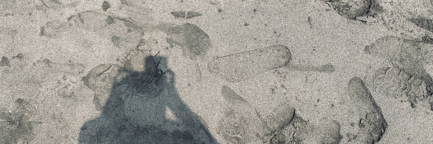 ssaaarchv's profile banner image