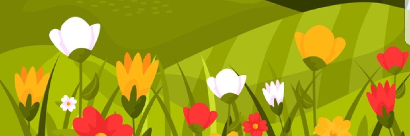 SolangeAlmadaII's profile banner image