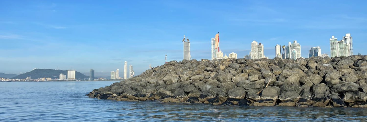wave banner