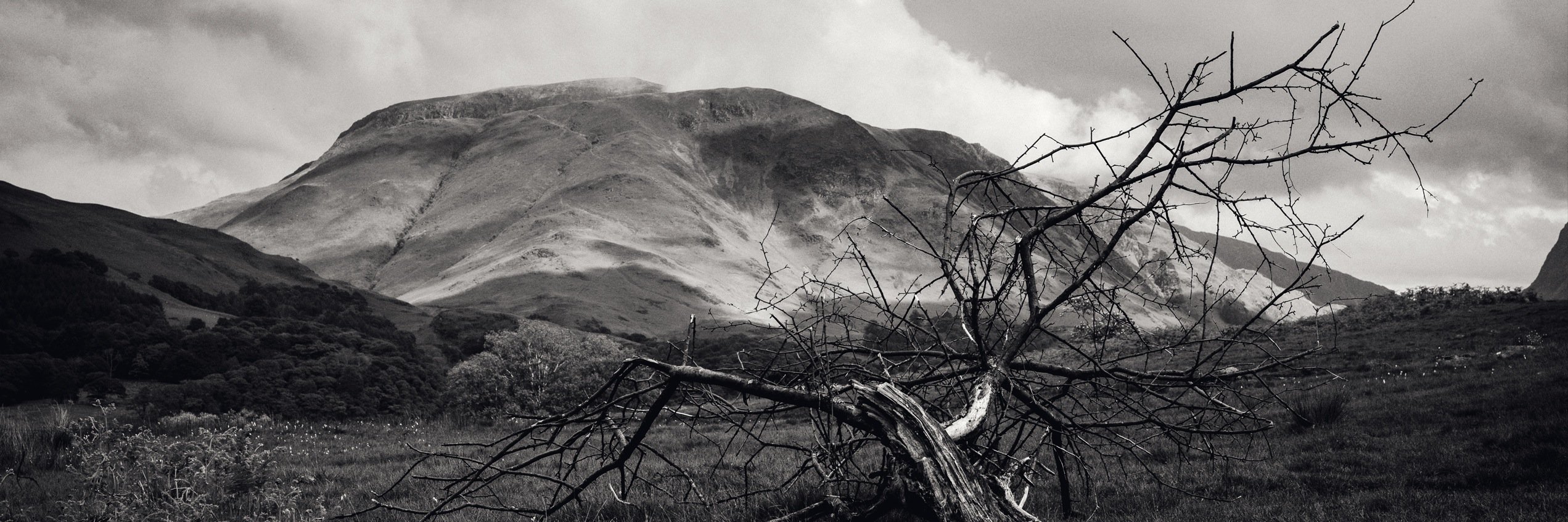 richardcurtis's profile banner image