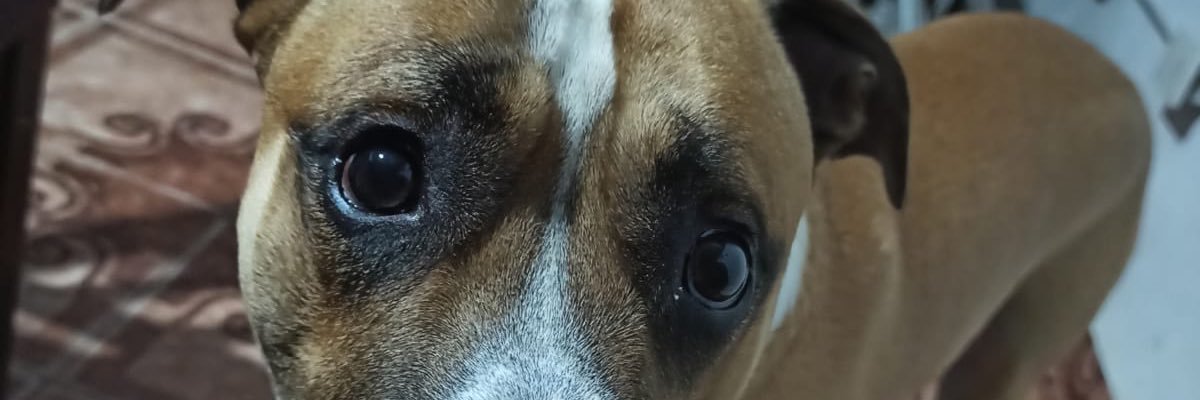 SuarezJoel05's profile banner image
