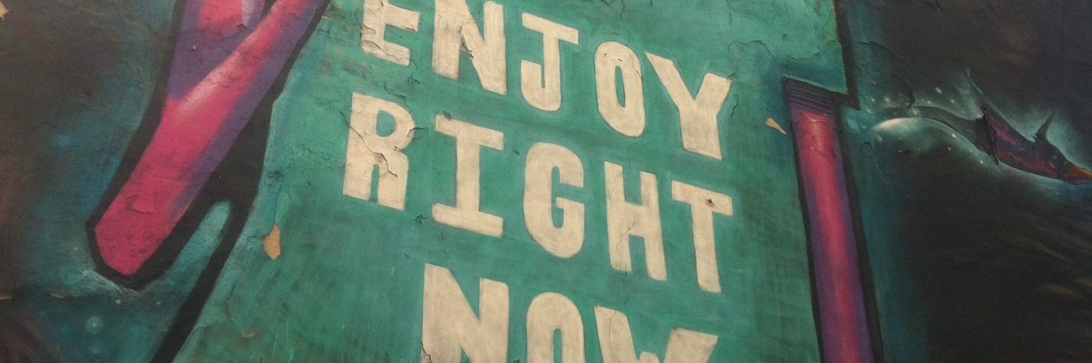 Veerle Van der Sluys banner