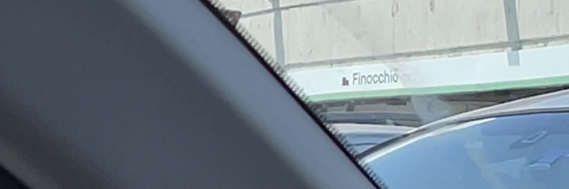 Francesco banner