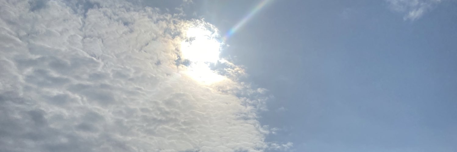 bartooliv's profile banner image