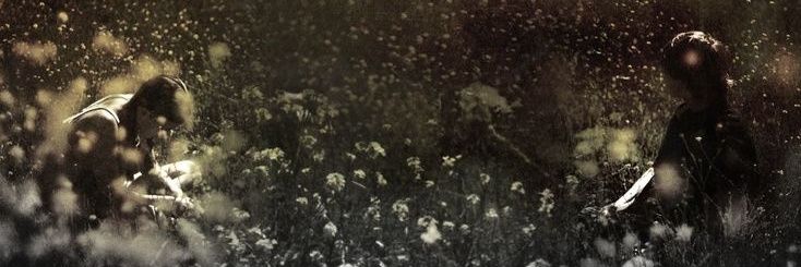 petessakex's profile banner image