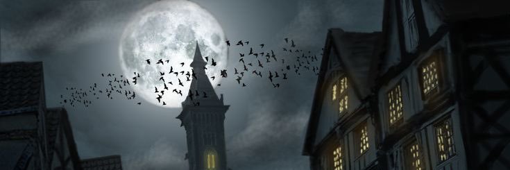OSLOVI's profile banner image