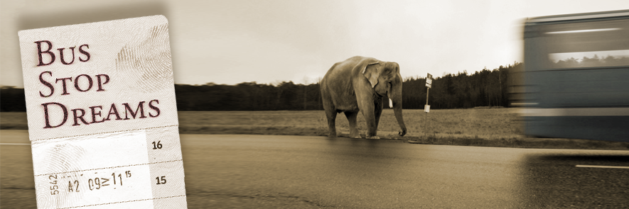busstopdreams's profile banner image