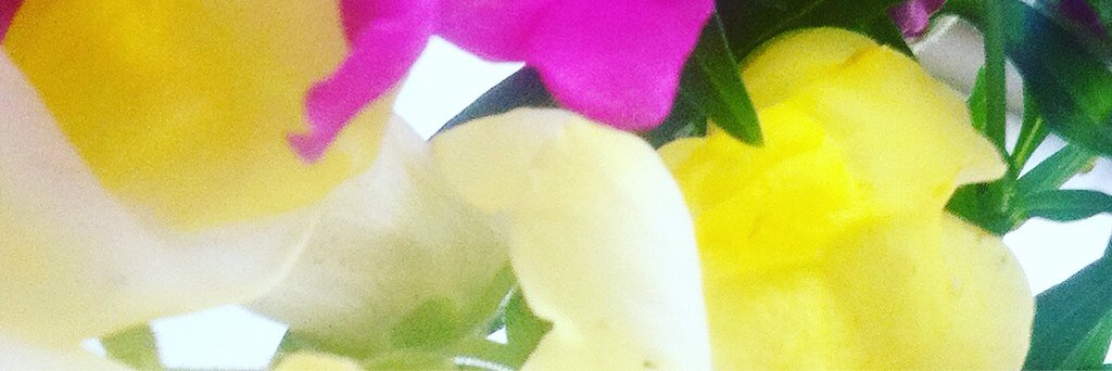 AnnaWendegrd's profile banner image