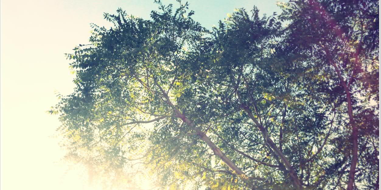 RealAnshay's profile banner image