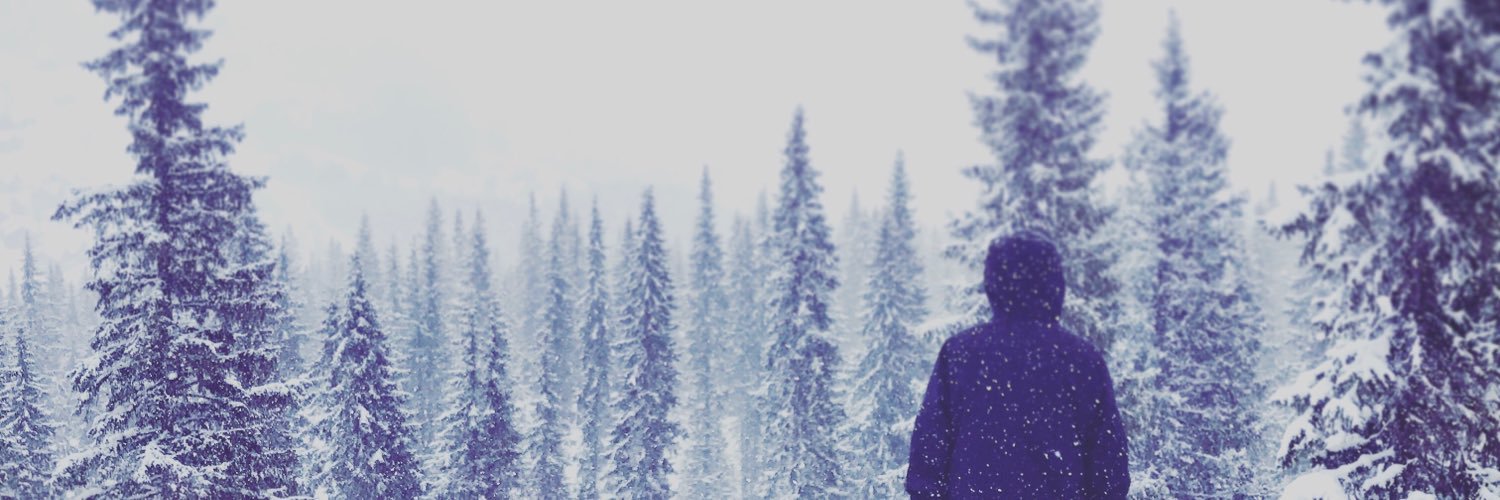 Hannes Larsson banner