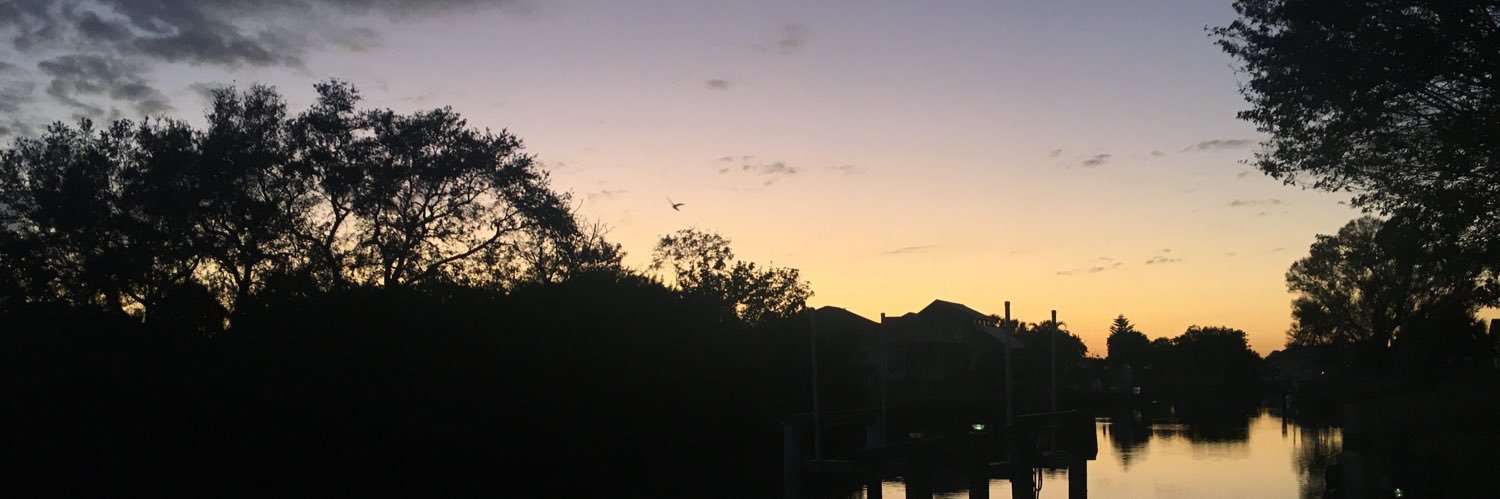 naomiauld_'s profile banner image