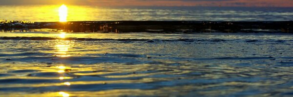 damirca Profile Banner