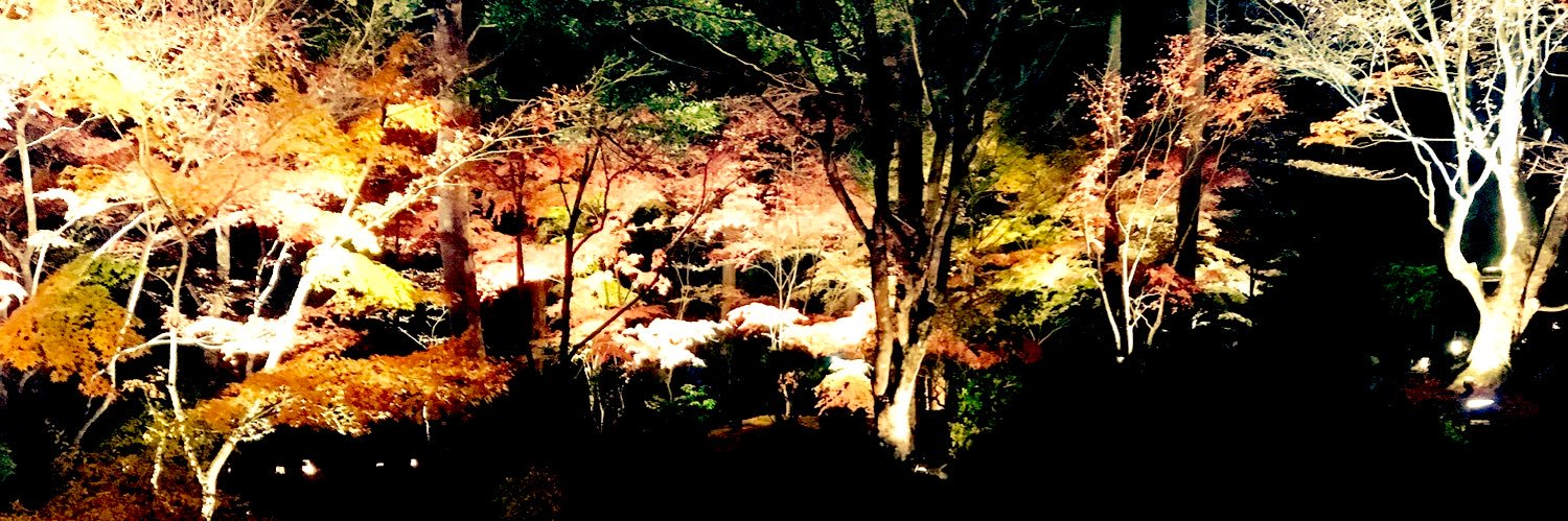 dreams9289zero's profile banner image