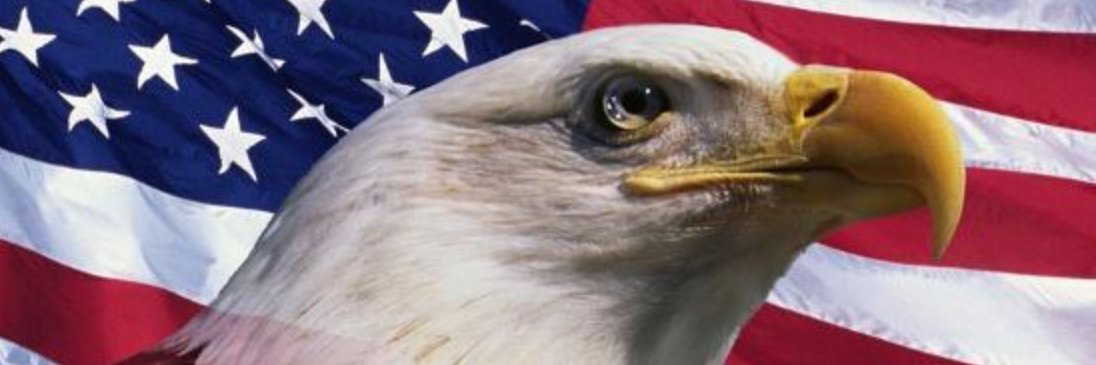 Mark McCarty🇺🇸🇺🇸 banner