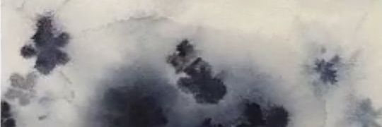 manisnasin's profile banner image