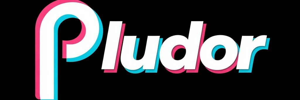pludor_official's profile banner image