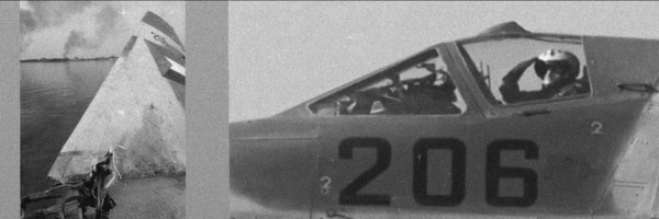 BuschModelar Profile Banner