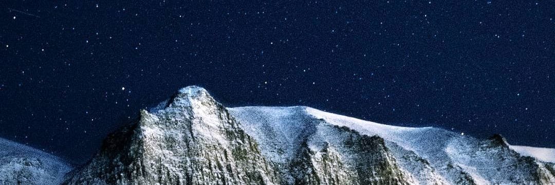 owlandphoenix's profile banner image