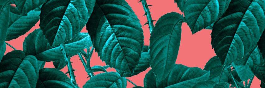 aiga_me's profile banner image