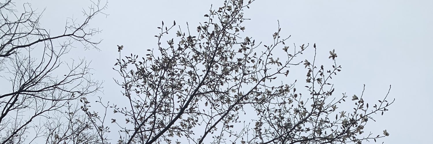 spacemonkey999's profile banner image